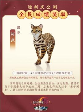 天龙八部私服魔幻至尊